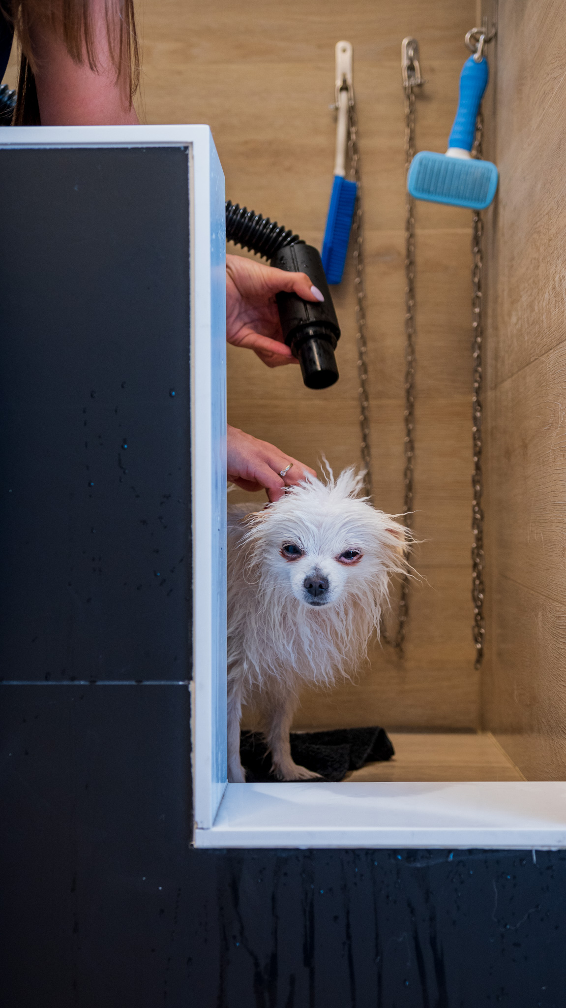 Comienzo del proceso de baño