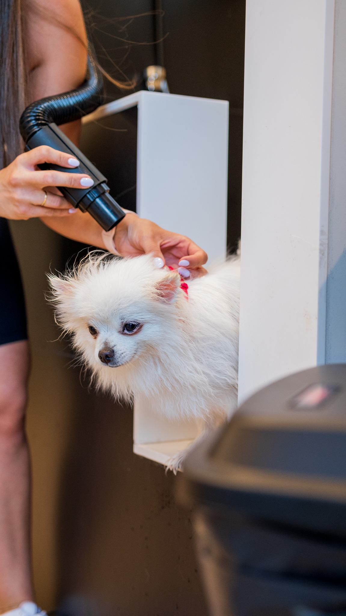 Persona y perro en las instalaciones de TARO